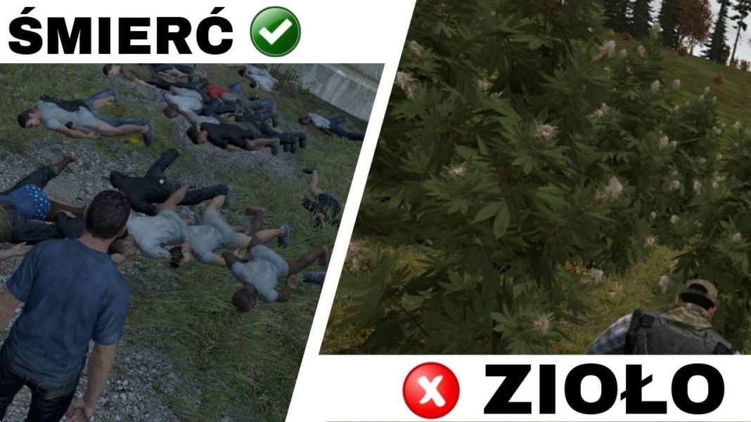 Survivalowa gra DayZ została całkowicie zabroniona w Australii. zpowodu odpalonego jointa, który leczy bohatera