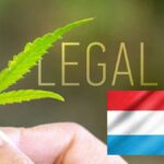 Luksemburg chce zalegalizować marihuanę do użytku rekreacyjnego w ciągu 2 lat.