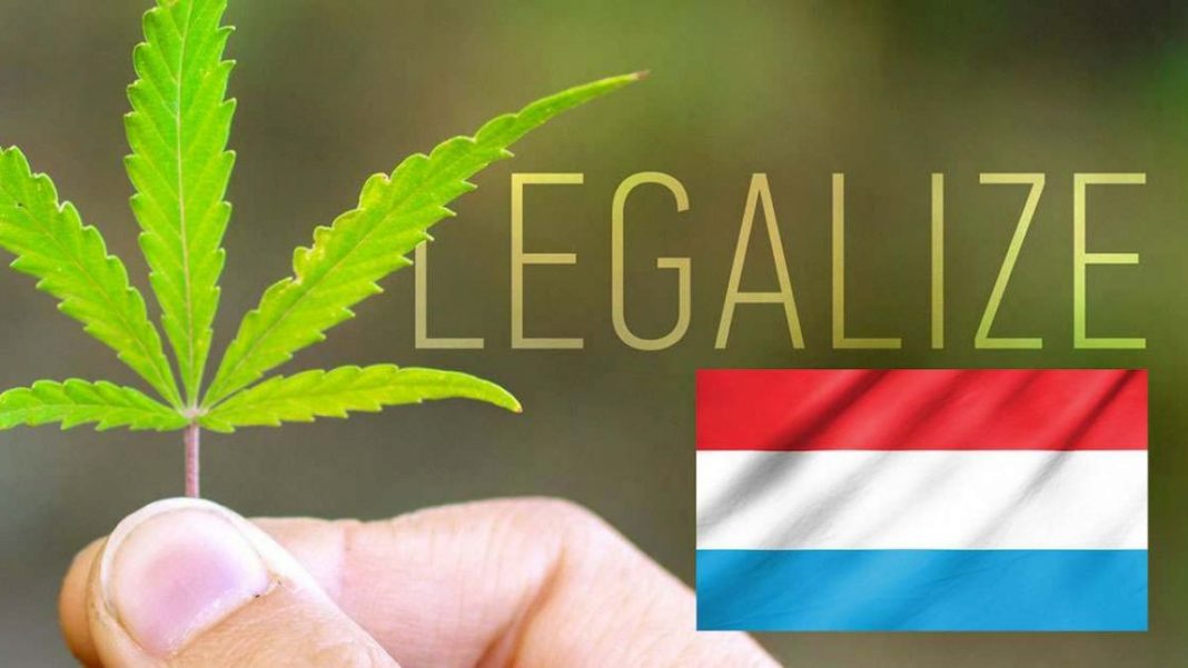 Luksemburg chce zalegalizować marihuanę do użytku rekreacyjnego w ciągu 2 lat.