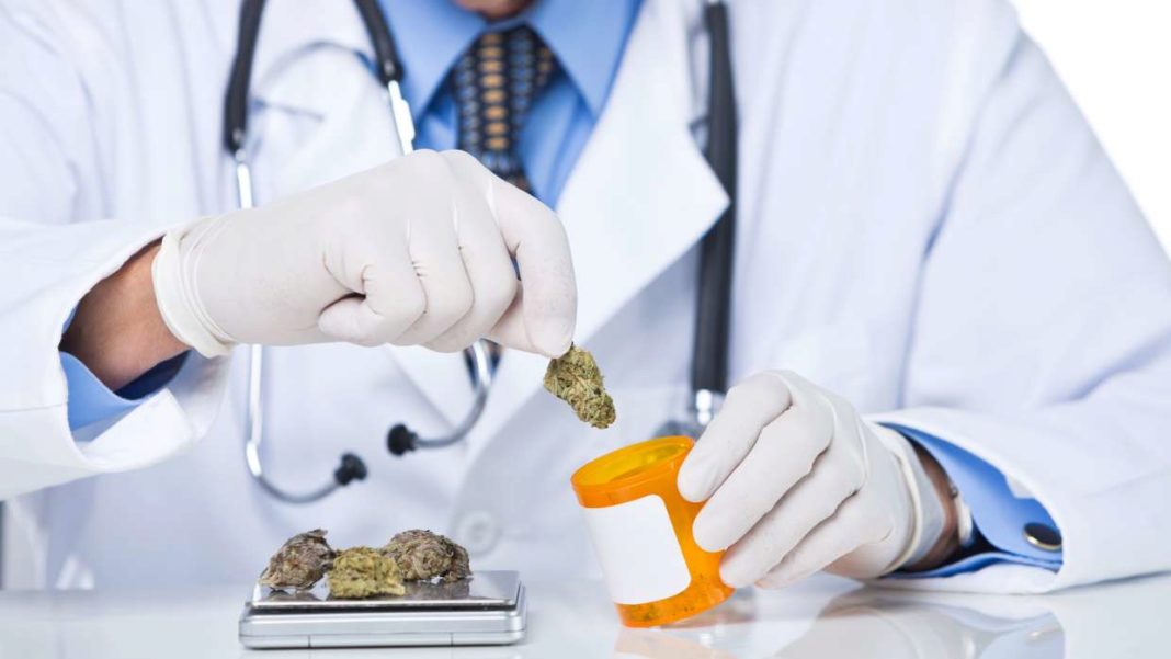 Medicana - lekarz marihuana medyczna
