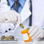 Medicana - lekarz marihuana medyczna