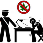 Cala prawda o konopiach - In The Middle Project zaprasza na Dożynki Konopne w Sandomierzu