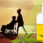 Stwardnienie rozsiane a leczenie konopiami. CBD i THC