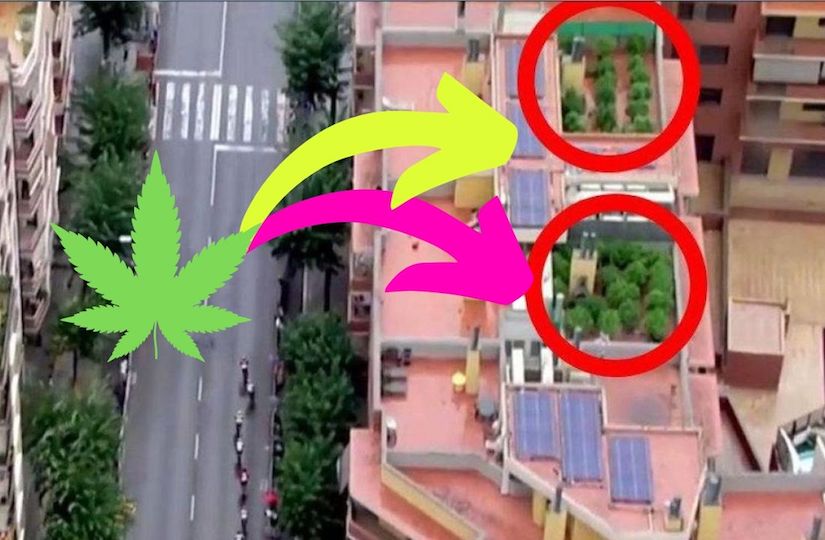 plantacja marihuany na dachu odkryta przez telewizyjny helikopter podczas wyscigu vuelta a espana