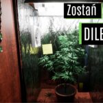 Gra , w której wcielasz sie w postac dilera narkotykowego. Drug Dealer Simulator juz w grudniu!