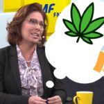 Koalicja Obywatelska boi się marihuany