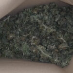 Marihuana Amfetamina Ostrów Wielkopolski