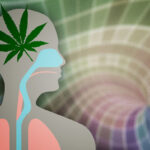 Jak osiągnąć szczęście z czasów młodości po marihuanie?