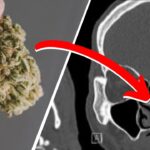 Miał w nosie marihuanę. Przemycił ja do więzienia 18 lat temu