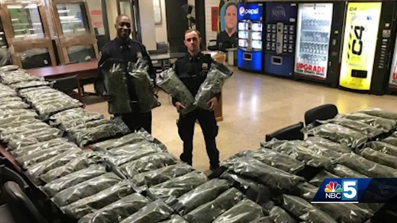 Policjanci myśleli, że to marihuana i przejęli 48 kilogramów suszu CBD!