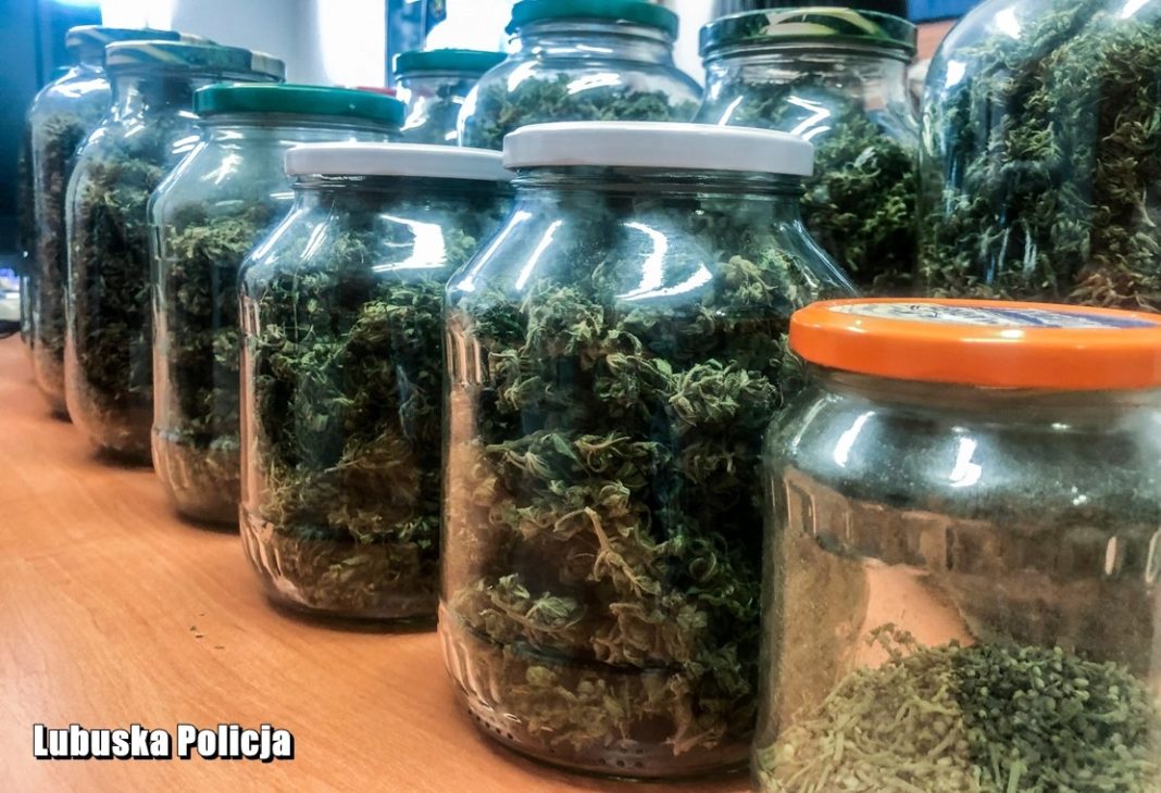 1,5 kilograma marihuany w słoikach woj. lubuskie