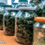 1,5 kilograma marihuany w słoikach woj. lubuskie