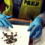 Miał przy sobie 50 gramów marihuany. Jednak gdy został zatrzymany i przeszukany przez policjantów próbował ich udobruchać 40 gramami konopi i specjalną premią wysokości 10 tys. zł. Incydent miał miejsce w Krakowie.