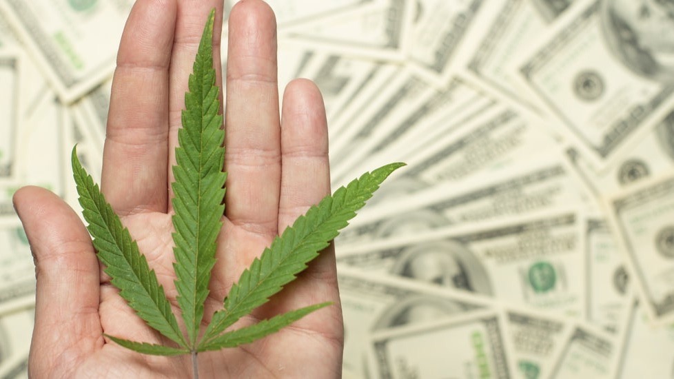Miliardy dolarów zysków z marihuany. Według ekspertów za 10 lat zyski będą większe.