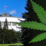 Parlamentarny Zespół ds. Legalizacji marihuany rozpoczął pracę. Zespół będzie omawiał ekonomiczne, społeczne i zdrowotne skutki legalizacji marihuany.