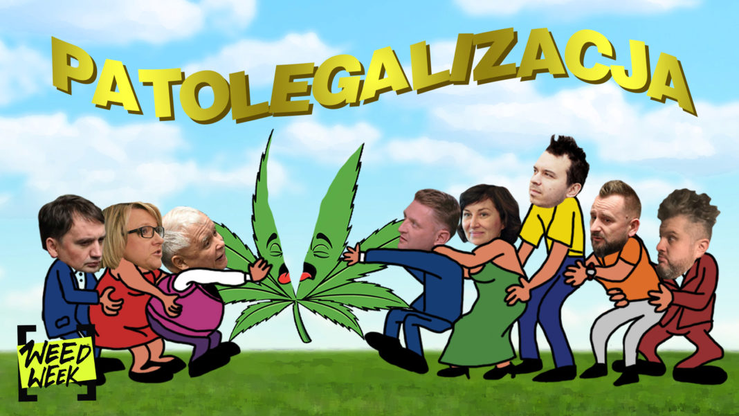 Zespół do spraw Legalizacji Marihuany relacja wideo