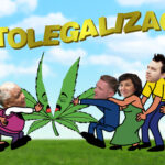 Zespół do spraw Legalizacji Marihuany relacja wideo