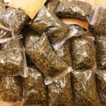 Nie zatrzymał się do kontroli drogowej, a gdy zauważył policyjną blokadę porzucił auto i zaczął uciekać z ponad 4 kilogramami marihuany. Mowa o 25 letnim kierowcy audi, który prowadził samochód bez prawa jazdy. Z determinacją jednak próbował ratować zioło, uciekając z ponad 4 kilogramami konopi pod pachą!