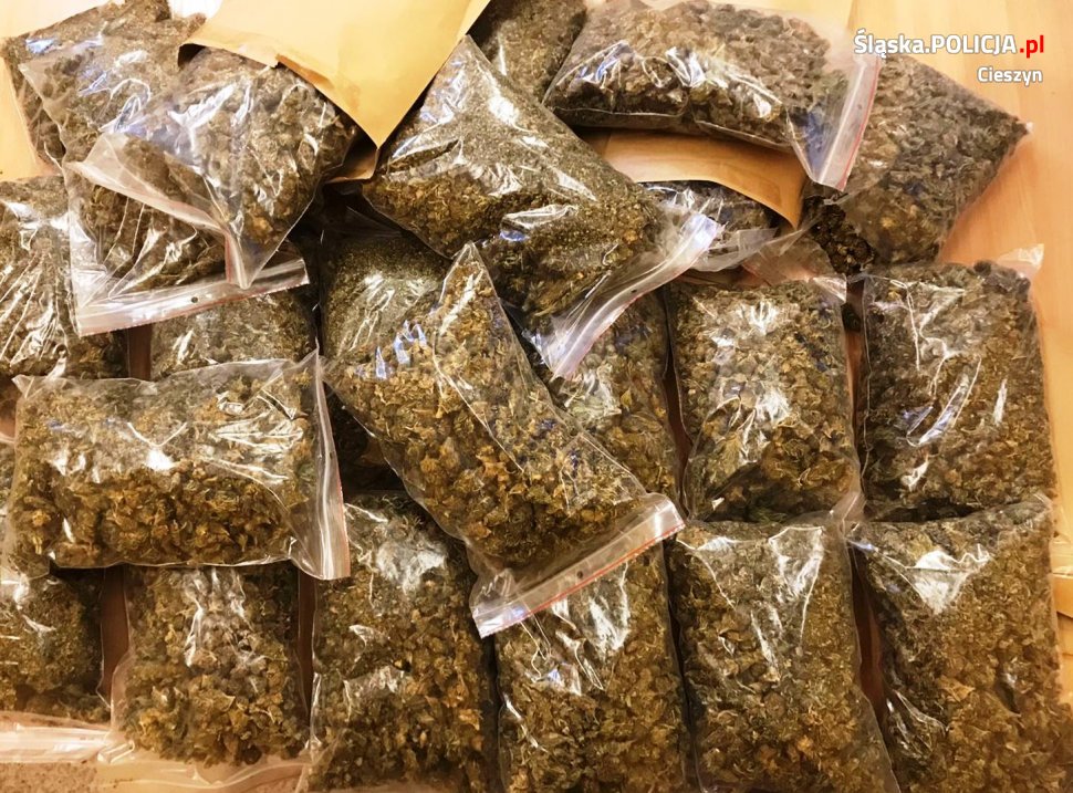 Nie zatrzymał się do kontroli drogowej, a gdy zauważył policyjną blokadę porzucił auto i zaczął uciekać z ponad 4 kilogramami marihuany. Mowa o 25 letnim kierowcy audi, który prowadził samochód bez prawa jazdy. Z determinacją jednak próbował ratować zioło, uciekając z ponad 4 kilogramami konopi pod pachą!