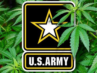 Zamiast importować poliester i polimer, chcą wykorzystać konopne włókna. Mowa o amerykańskiej armii, która przy współpracy z naukowcami z Uniwersytetu Wisconsin zamierza wykorzystać tkaniny z konopi siewnych w wojskowych pojazdach i nie tylko.