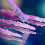 Kryzys wywołany przez koronawirusa wpływa na wszystkie dziedziny życia. W Niemczech zmienia również sytuację w handlu marihuaną i pozostałymi używkami. Dilerzy niemal przestali na ulicach zlewać się z tłumem. Przez zamknięte granice brakuje też dostaw wszystkich używek, a także surowców, z których można by je wyprodukować.