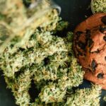 Było już „Gotowanie na haju” teraz czas na „Gotowanie na marihuanie”. Już 20 kwietnia na Netfliksie rusza program Cooked with Cannabis. Będzie on w formule konkursu kulinarnego. Coś w stylu MesterChefa, ale uczestnicy będą musieli serwować potrawy z wykorzystaniem konopi indyjskich.