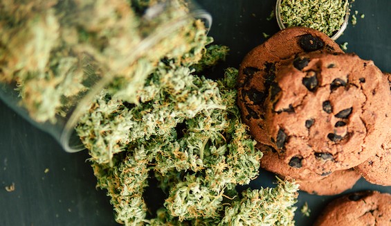 Było już „Gotowanie na haju” teraz czas na „Gotowanie na marihuanie”. Już 20 kwietnia na Netfliksie rusza program Cooked with Cannabis. Będzie on w formule konkursu kulinarnego. Coś w stylu MesterChefa, ale uczestnicy będą musieli serwować potrawy z wykorzystaniem konopi indyjskich.