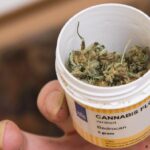 To będzie innowacyjne i eksperymentalne leczenie pacjentów w jednym z izraelskich szpitali w Tel Awiwie. Naukowcy i lekarze zakażonym na COVID-19 podawać medyczną marihuanę, która jak wiadomo ma właściwości przeciwwirusowe.