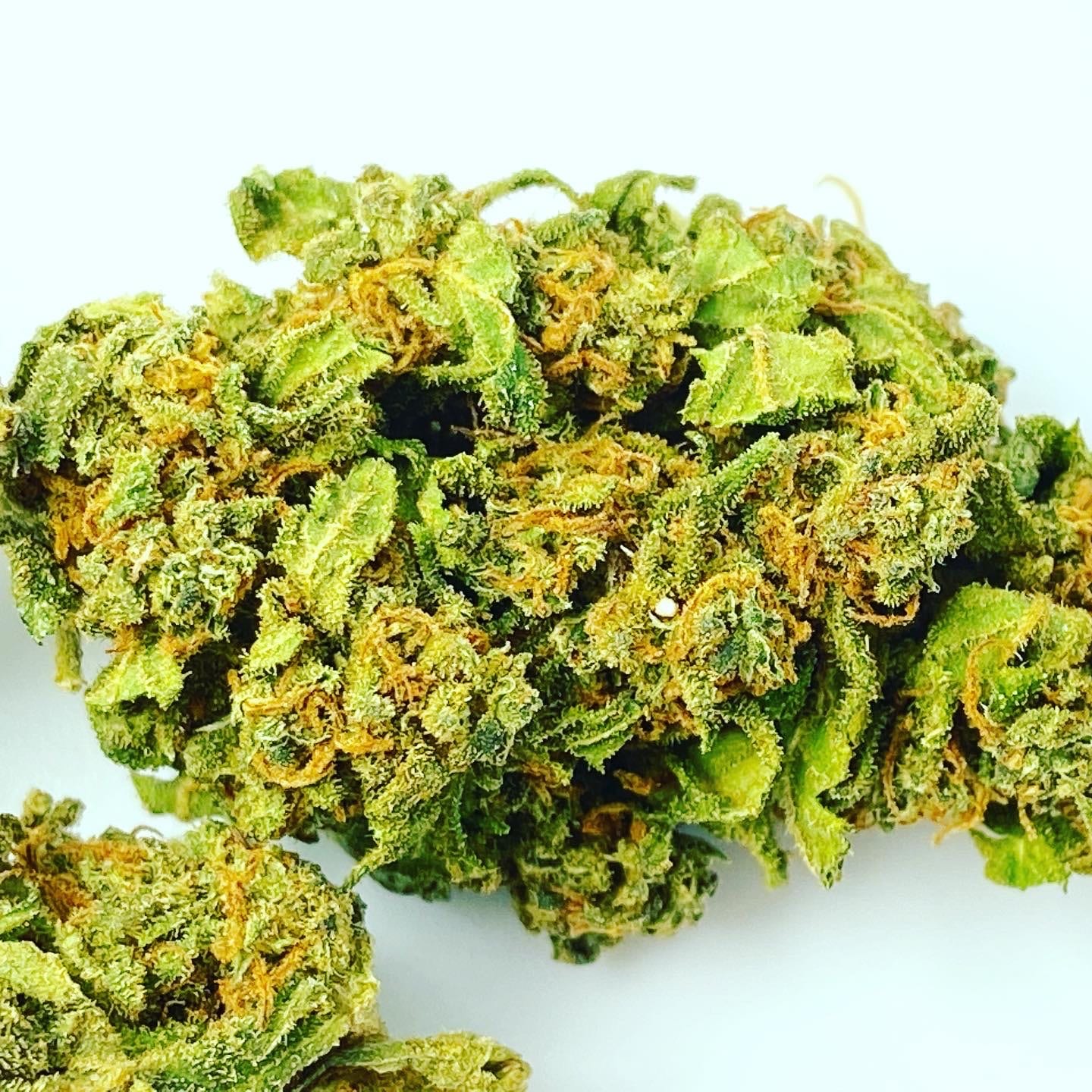 Owocowy profil terpenowy, aromat truskawki i przewaga genetyki Sativa. Tak w skrócie można zdefiniować odmianę marihuany Strawberry Haze, a dokładnie Arjan's Strawberry Haze stworzonej przez Green House Seeds Company i nazwaną na cześć Arjana Roskama.