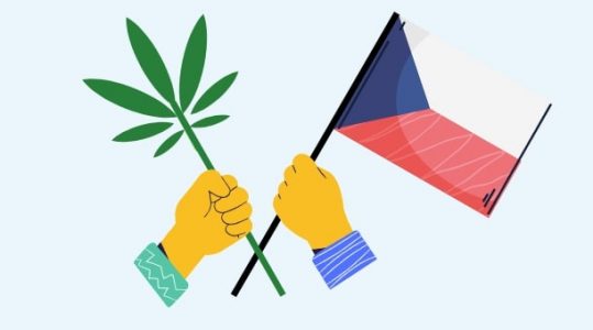 Czy marihuana w Czechach jest legalna?