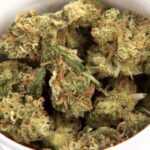 Doznał ciężkiego urazu głowy i leczył się medyczną marihuaną. Pan Dariusz z Kielc może teraz najbliższe 2,5 roku spędzić za kratkami. Wszystko dlatego, że medycznej marihuany używał wówczas gdy w Polsce była jeszcze nielegalna. Teraz jak twierdzi adwokat pana Dariusza, jego klient będzie kontynuował legalne leczenie w więzieniu.