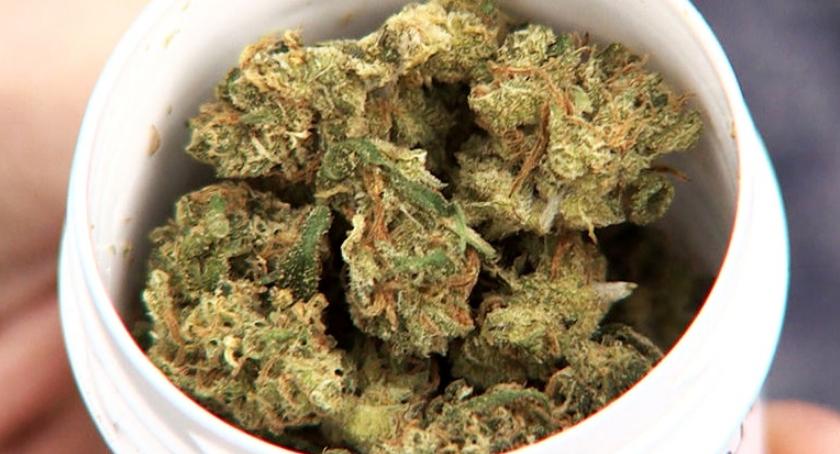 Doznał ciężkiego urazu głowy i leczył się medyczną marihuaną. Pan Dariusz z Kielc może teraz najbliższe 2,5 roku spędzić za kratkami. Wszystko dlatego, że medycznej marihuany używał wówczas gdy w Polsce była jeszcze nielegalna. Teraz jak twierdzi adwokat pana Dariusza, jego klient będzie kontynuował legalne leczenie w więzieniu.