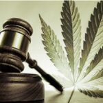 Czym jest „duża ilość substancji psychoaktywnych?” Zależy to od oceny sądu i prawo krajowe nie musi definiować pojęcia „dużych ilości marihuany i innych substancji.” Taką odpowiedź od Trybunał Sprawiedliwości UE (TSUE) otrzymał sąd w Słupsku.