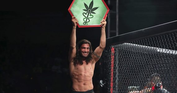 https://www.cannabisnews.pl/marihuana-popularna-wsrod-zawodnikow-mma/