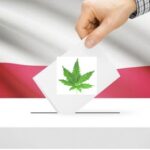 Już w najbliższą niedzielę będziemy wybierać prezydenta RP. Przy tej okazji postanowiliśmy sprawdzić w sieci jak część z kandydatów walczących o najwyższy urząd w państwie podchodzi do legalizacji rekreacyjnej marihuany. Rozsyłaliśmy oczywiście w tej sprawie pytania do komitetów wyborczych, ale temat został przemilczany. Przypadek? A może w obliczu wyborów prezydenckich ta kwestia jest dla kandydatów niezbyt wygodna.