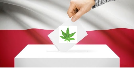 Już w najbliższą niedzielę będziemy wybierać prezydenta RP. Przy tej okazji postanowiliśmy sprawdzić w sieci jak część z kandydatów walczących o najwyższy urząd w państwie podchodzi do legalizacji rekreacyjnej marihuany. Rozsyłaliśmy oczywiście w tej sprawie pytania do komitetów wyborczych, ale temat został przemilczany. Przypadek? A może w obliczu wyborów prezydenckich ta kwestia jest dla kandydatów niezbyt wygodna.