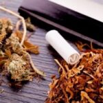 SWPS Uniwersytet Humanistycznospołeczny ruszył z projektem naukowym. Badacze chcą wnikliwie sprawdzić jaki wpływ na funkcje poznawcze ma nadmierne używanie marihuany i nikotyny. Projekt został dofinansowany w kwocie ponad 180 tys. zł. z Ministerstwo Nauki i Szkolnictwa Wyższego.