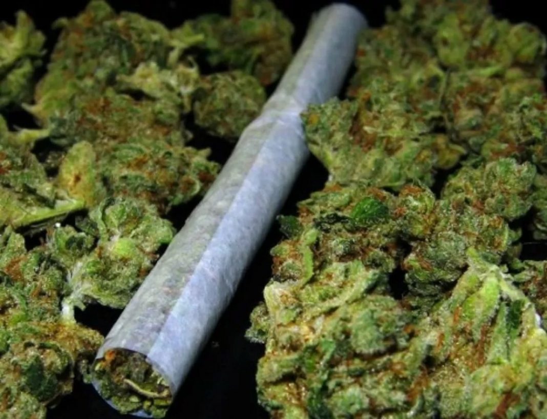 Obsesje, natręctwa, pieniactwo i lęki można zniwelować poprzez palenie zioła. Wskazują na to badania przeprowadzone przez Washington State University. U osób z zaburzeniami obsesyjno-kompulsywnymi po marihuanie objawy zmalały o połowę!