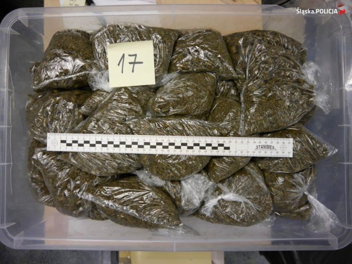 Marihuana, kokaina, amfetamina i ecstasy. W sumie 75 kilogramów towaru przejęli śląscy policjanci. Jak się okazało, wszystkie używki należały do 26 latka, który przechowywał je w mieszkaniu i przynależnej do niego piwnicy.