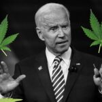 Po wielu dniach liczenia głosów już wiadomo, że 46 prezydentem USA został Joe Biden. Już na etapie kampanii wyborczej osoby z jego otoczenia politycznego zapowiadały w razie zwycięstwa legalizację marihuany na gruncie federalnym. Jeśli faktycznie do tego dojdzie, może to być wyraźny sygnał do zalegalizowania konopi w innych krajach, być może również i w Polsce.