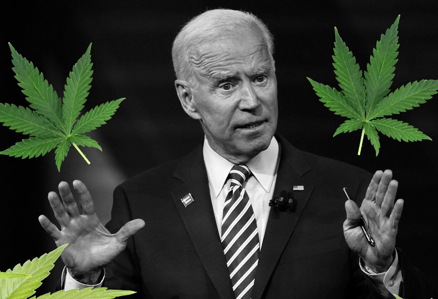 Po wielu dniach liczenia głosów już wiadomo, że 46 prezydentem USA został Joe Biden. Już na etapie kampanii wyborczej osoby z jego otoczenia politycznego zapowiadały w razie zwycięstwa legalizację marihuany na gruncie federalnym. Jeśli faktycznie do tego dojdzie, może to być wyraźny sygnał do zalegalizowania konopi w innych krajach, być może również i w Polsce.