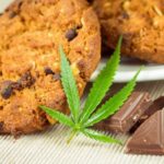 Chociaż polskie przepisy nie dopuszczają zawartości jakichkolwiek substancji psychoaktywnych w środkach żywności, to unijne mimo wszystko im zaprzeczają. Czy na przykład THC może znajdować się w składzie produktów spożywczych? O tym dowiecie się z tego artykułu.