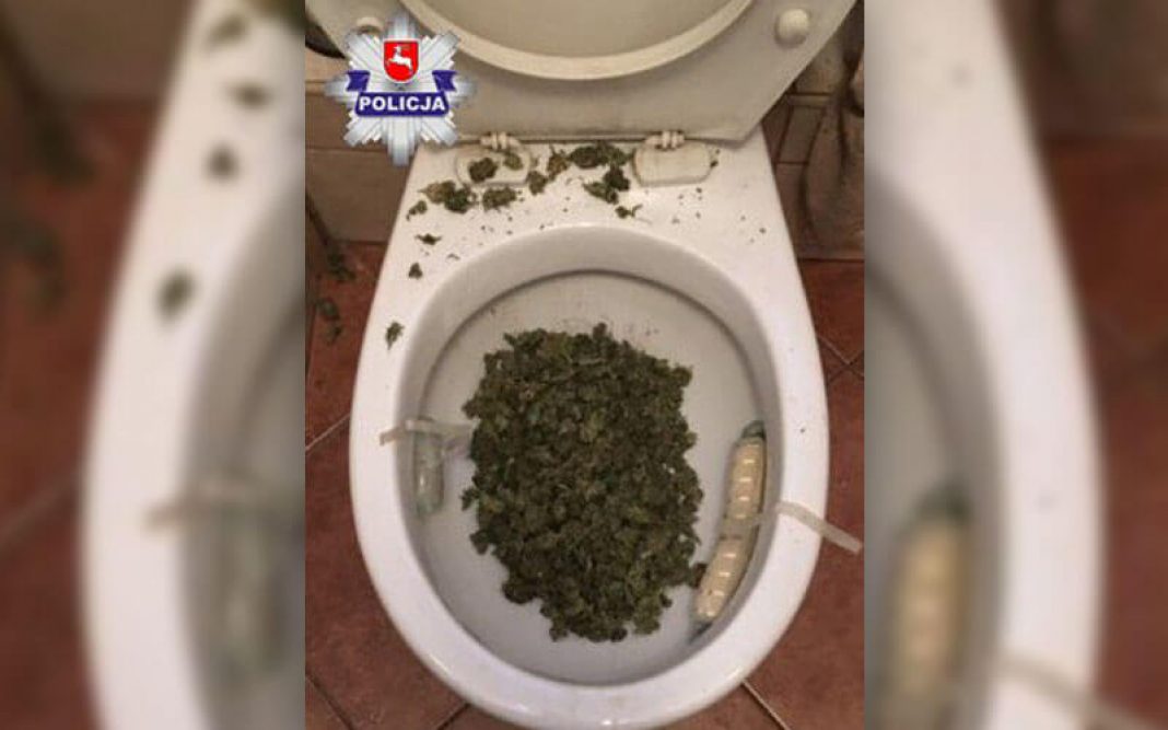 Pewnie nie jeden pozazdrościłby tej muszli toaletowej, do której trafiło 200 gramów marihuany. Zioło próbował spuścić 23 letni mieszkaniec Chełma (woj. lubelskie). Była to jego reakcja na wizytę policjantów w jego mieszkaniu.