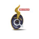 Relaksujące hybrydy prosto od renomowanego holenderskiego producenta Super Strains, czyli Ibiza Farmer’s i La Jefa są coraz częstszym wyborem wśród entuzjastów intensywnych doznań. Przyjrzyjmy się ich specyfice – budowie, działaniu oraz właściwościom smakowym i zapachowym.