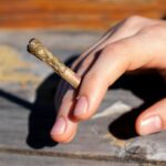 To ma być rewolucja w norweskiej polityce dotyczącej substancji psychoaktywnych. Rada Ministrów w kraju fiordów zaproponowała, żeby posiadanie niedużych ilości marihuany, kokainy czy innych substancji nie było już karane więzieniem.