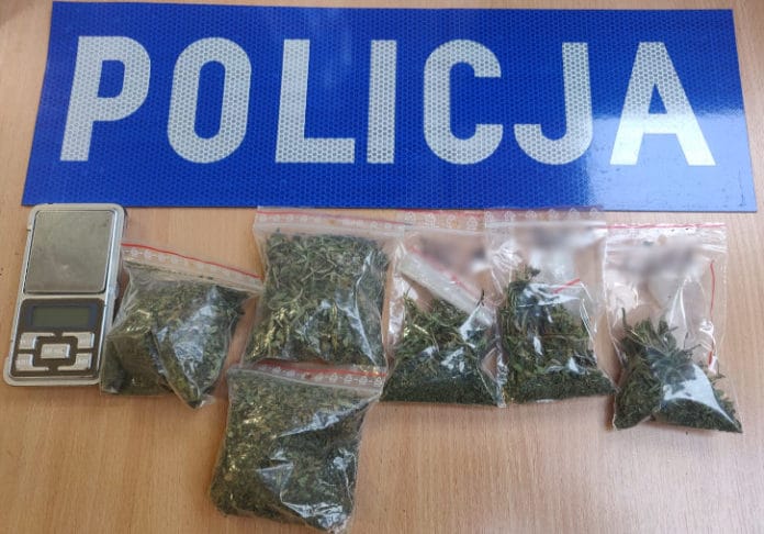 Prowadził samochód pod wpływem alkoholu i pochwalił się policjantom, że nie tylko zażył amfetaminę ale ma w domu zioło. Mowa o 22 letnim mieszkańcu Wielbarka, którego zatrzymali policjanci drogówki.