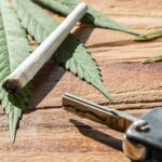 Jak wiadomo stanie w korku chyba nikogo pozytywnie nie nastraja. Dlatego 27 letni kierowca audi postanowił sobie uprzyjemnić ten czas wyczekiwania zapaleniem dobrego zioła. Charakterystyczny zapach marihuany wyczuł motocyklista i zapytał wprost czy to zioło. 27 latek przyznał, że tak i zaproponował motocykliście bucha.