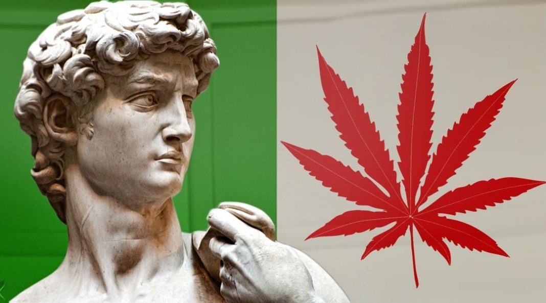 To pierwszy taki wyrok w historii. We Włoszech uniewinniono pacjenta, który uprawiał bez zezwolenia marihuanę do celów medycznych. Mieszkaniec Arezzo został najpierw oskarżony o handel ziołem, a następnie ułaskawiony przez sąd.
