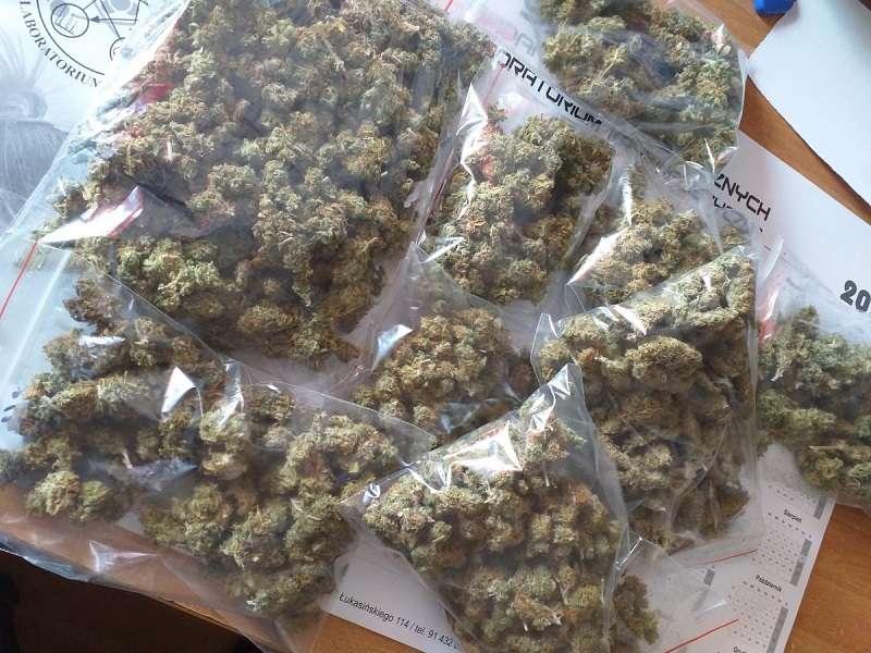 Kotłownia należąca 28 letniego mieszkańca Lublina nie służyła wyłącznie do palenia, ale również do uprawy konopi indyjskich. Oprócz tego mężczyzna przechowywał w słoikach zapasy na zimę – w sumie pół kilograma zioła.