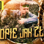 Cannabisland - polski producent suszu